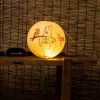 Handmade Round Paper Lantern Chinese/Japanese Style Painted Perching Birds Decorative Hanging Lantern